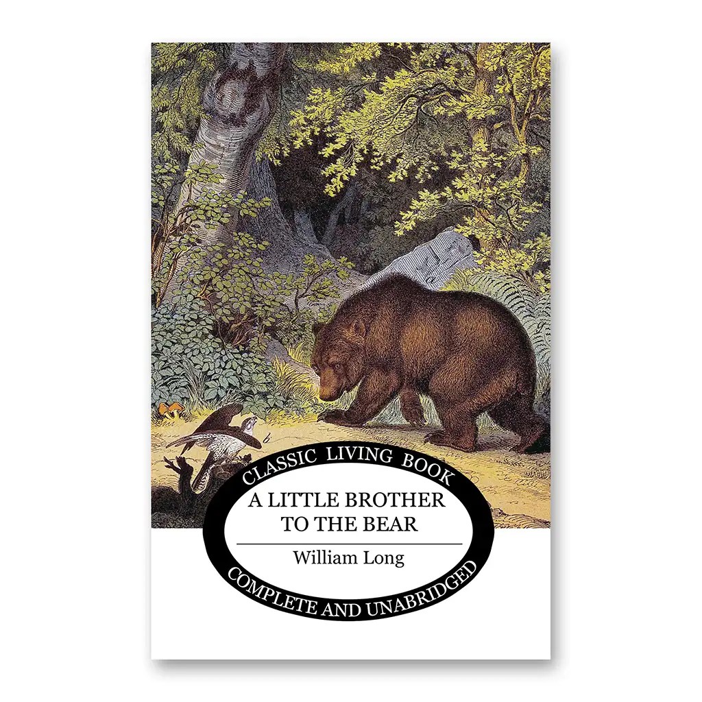 A Little Brother to the Bear