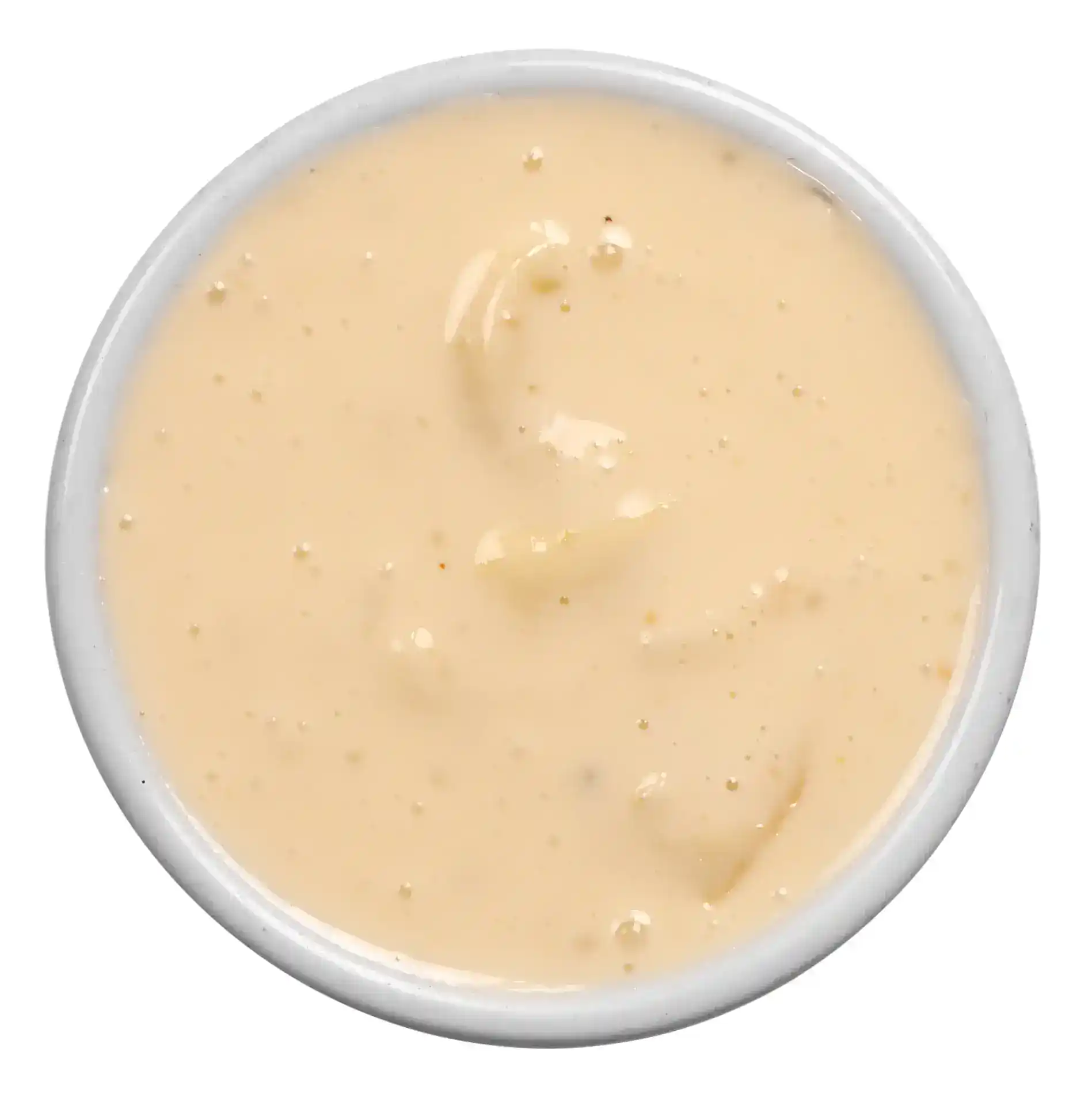 CHEESE DIP