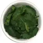 cilantro
