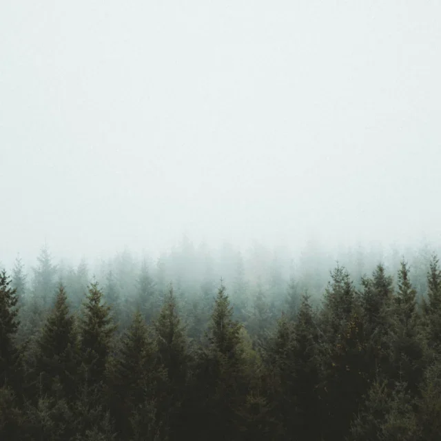 Instagram post 17911401222250110