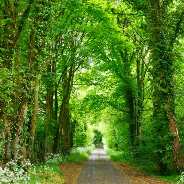 Instagram post 17995292534838558