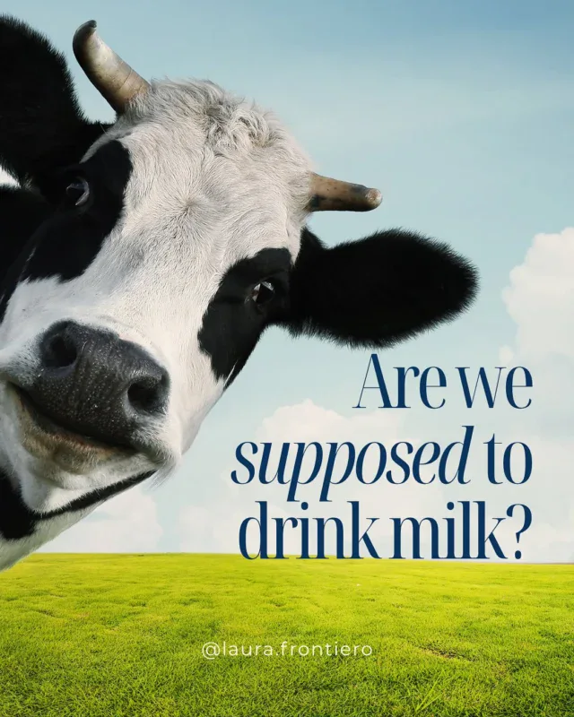 Your gut is smart, it remembers what your genes were designed for.
Most humans naturally lose the ability to digest milk sugar after childhood.

If dairy leaves you bloated, congested, or tired, it’s not “just in your head,” it’s in your microbiome.

I challenge you to go dairy-free for two weeks and see how your gut responds.

Want to help your gut out more? Head to my link in bio to save your seat for tomorrow’s FREE masterclass: Break the Midlife Symptoms Cycle. 
.
.
.
.
.
#midlifehealth #guthealth #lactoseintolerant #milk #nomilk #rootcause #functionalhealth #dairyfree #dairyfast