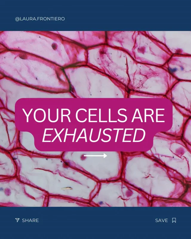 Okay I’ll make it white! Here is the caption:

Mitochondria power everything: energy, focus, detox, hormones, even longevity.
When they’re under stress from poor diet, toxins, or chronic inflammation, your body runs on “low battery.”
The good news? Mitochondria can regenerate.
Through movement, nutrient-dense foods, stress management, and detox support, you can literally build more energy from the inside out.
If you’re struggling with energy and looking for help, join my FREE masterclass this Wednesday:Break the Midlife Symptom Cycle. Just comment CLASS below for the link! 
.
.
.
.
.
#rootcause #cellhealth #mitochondria #brainfog #fatigue #inflammation #detox #hormones #midlife #midlifehealth