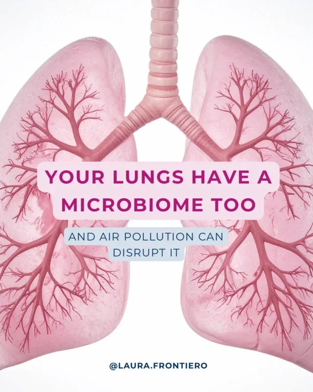 Air pollution does more than irritate the lungs. It can alter the bacterial ecosystem that helps protect your respiratory system.

Your lungs rely on a diverse microbiome to regulate inflammation and defend against harmful pathogens. When air quality is poor, oxidative stress and toxins can disrupt that balance, making the lungs more vulnerable over time.

Because we cannot control outdoor air quality, supporting indoor air and lung defenses becomes essential.

To improve indoor air quality, reduce exposure to synthetic fragrances, open windows when outdoor air quality allows, and use a high quality air purifier with 0.1 micron filtration. I personally use and trust the Austin Air Bedroom Machine.

To support the body’s natural defenses, nutrients like vitamins C and E play an important role in combating oxidative stress created by pollutants.

Environmental toxins influence health in ways we are still uncovering. If you want a deeper look at where these toxins hide and how they affect inflammation, read my blog post Unmasking Hidden Threats.

Comment TOXIN below and I will send you the link.
.
.
.
.
.
#lunghealth #lungmicrobiome #rootcause #indoorairpollution #indoorairfilter