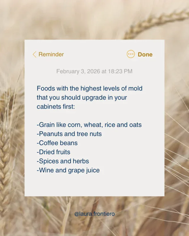 Not all environmental exposure is avoidable, but strategic upgrades can meaningfully reduce total body burden. Certain foods are more prone to mold contamination due to how they are grown, stored, and processed.

Choosing organic coffee that is tested for mycotoxins can reduce daily exposure. Storing grains and nuts in airtight containers in cool, dry environments helps limit mold growth. Buying spices in smaller quantities and paying attention to freshness matters more than most people realize. When possible, opting for fresh fruit instead of dried can further reduce risk.

These changes may seem small, but they compound over time, especially for individuals with genetic susceptibility, hormone imbalance, or compromised detox pathways. Awareness is not about restriction. It is about supporting the body with smarter inputs.

If you’re ready to take the next step on your health journey and need support, let me know below! I’ll send over the link for a free discovery call with my team.
.
.
.
.
.
#mold #mycotoxins #rootcause #brainfog #skinissues