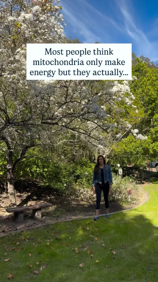 Mitochondria do far more than make energy. They help regulate hormones, control inflammation, guide immune responses, manage oxidative stress, influence brain function, and decide how cells adapt to stress or heal. When mitochondria are supported, everything from metabolism to mood to longevity can shift. They are not just the powerhouse of the cell. They are the conductors of cellular health.

If you’re struggling with low energy, gut issues or brain fog, it’s time to dig deeper. Comment CELL below for a link to a free discovery call with my team where we can help you get back to feeling your vibrant self. 
.
.
.
.
.
.
#mitochondriahealth #rootcause #functionalmedicine #inflammation #oxidativestress