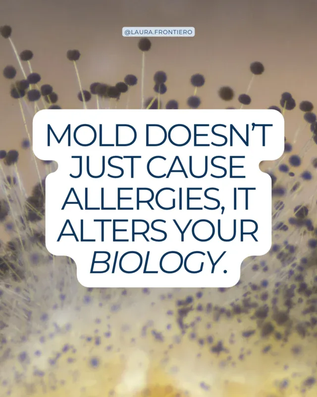 Mold illness is one of the most underdiagnosed drivers of complex, multi-system symptoms in midlife and it rarely shows up on standard labs.
What makes it so easy to miss is how well it mimics everything else. Perimenopause. Anxiety. Autoimmune flares. Thyroid dysfunction. Most women spend years collecting diagnoses that treat the symptoms while the actual source goes untouched.
Here’s what changes the picture: as estrogen declines, your detox capacity slows with it. A toxic load your body managed in your 30s can become genuinely destabilizing in your 40s and 50s. That’s not weakness, that’s biology. And it’s addressable.
If you’ve been told your labs are normal while your body is telling a completely different story, this is worth a closer look.
Comment READY to get a link to a free discovery call with my team. 👇
.
.
.
.
.
#mold #mycotoxins #molddetox #moldillness #rootcause