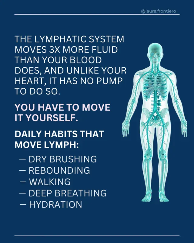Your body has a drainage system that moves waste, toxins, and immune cells out of your tissues. It’s called your lymphatic system.Your lymphatic system depends entirely on movement to keep flowing. When it becomes congested, you feel it in ways nobody connects to drainage.Puffiness and swelling with no obvious cause. Brain fog that will not lift. Stiff, achy joints. Fatigue that persists no matter how much you sleep. Skin that looks dull and reactive. Frequent illness or slow recovery.The good news is that your lymphatic system responds quickly to the right inputs. Daily movement, hydration, dry brushing, rebounding, deep diaphragmatic breathing, and hot and cold (contrast) showers all directly stimulate lymph flow.Support the fascia, the connective tissue that houses the lymphatic channels, and the whole system opens up.Save the graphic for your daily drainage checklist.......#lymphhealth #lymphaticsystem #contrastshowers #fascia #rebounding