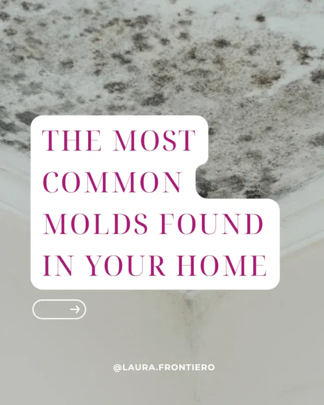 Most people think mold is a cleaning problem but it’s not. It’s a health problem that looks like a dozen other things.The molds most commonly found in homes produce mycotoxins that accumulate in the body and disrupt the brain, immune system, gut, and nervous system. This is why mold illness rarely gets identified for what it is. The symptoms show up as fatigue, brain fog, anxiety, and digestive dysfunction. Not as mold.You don’t have to see mold for it to be affecting you. It hides behind walls, under flooring, inside HVAC systems, and beneath cabinets. By the time it’s visible, exposure has typically been happening for a long time.If you have tried everything and still cannot get well, your environment may be the missing piece.Swipe through to see what you are actually living with.Need help healing from mold? Head to my link in bio to schedule a free discovery call with my team. .....#moldmycotoxins #mold #householdmold #environmentaltoxins #molddetox