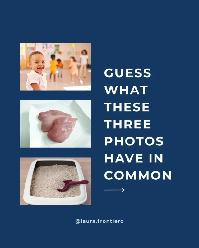 Most people think of a parasite as something you catch traveling. In practice, it’s usually undercooked chicken, a cat, a daycare pickup. Nothing exotic about it.That mismatch is exactly why cases here go undiagnosed for years. Symptoms rarely look like “parasite.” They look like fatigue, brain fog, skin that won’t clear, weight that won’t move, all of it usually blamed on stress or getting older first.There’s a current outbreak putting this back in the news, and most of what’s circulating about it is wrong in one direction or the other.Today, August 5th at 1pm PT / 4pm ET, I’m walking through what’s actually happening, how to test for parasites correctly, and what real recovery looks like. Live, free, just comment TEST below to save your seat......#parasiteprotocol #parasites #giardia #toxoplasmosis #digestivehealth