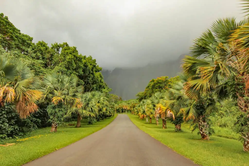 the hoomaluhia botanical garden