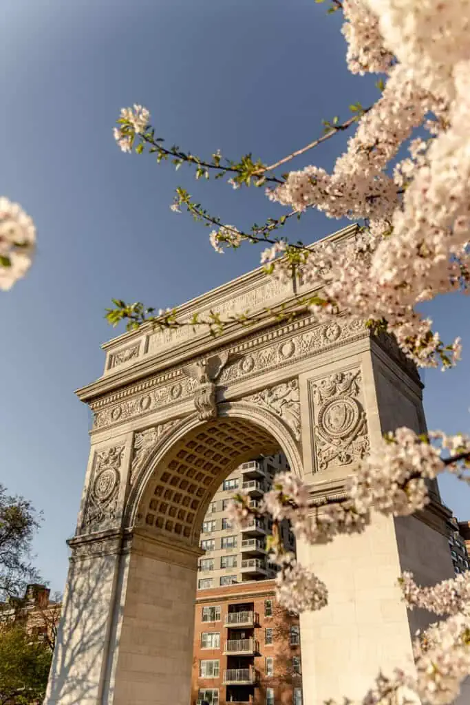 Washington Square Park during Cherry Blossom Season