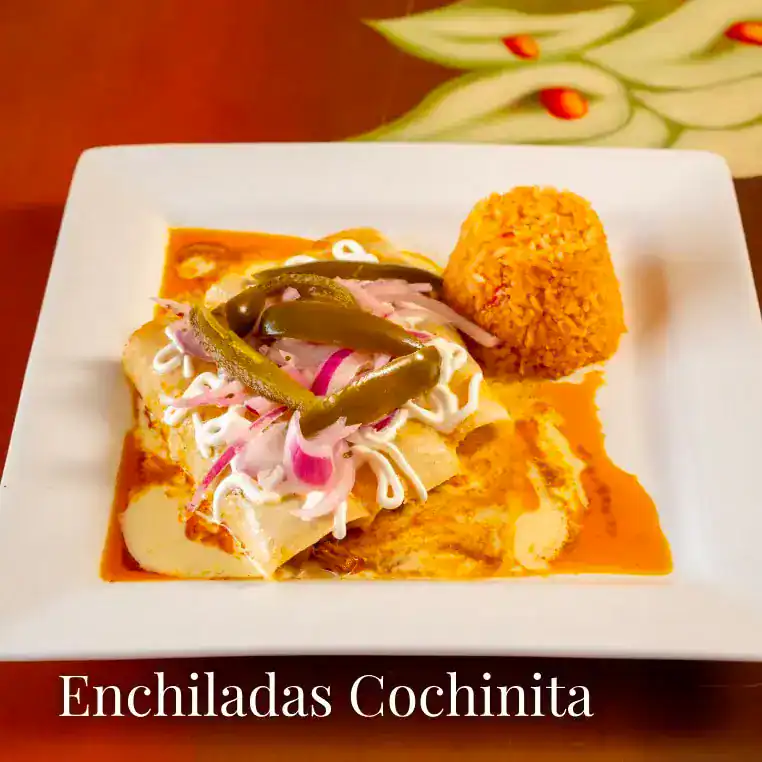 Delicious cochinita pibil enchiladas with toppings on a white plate.