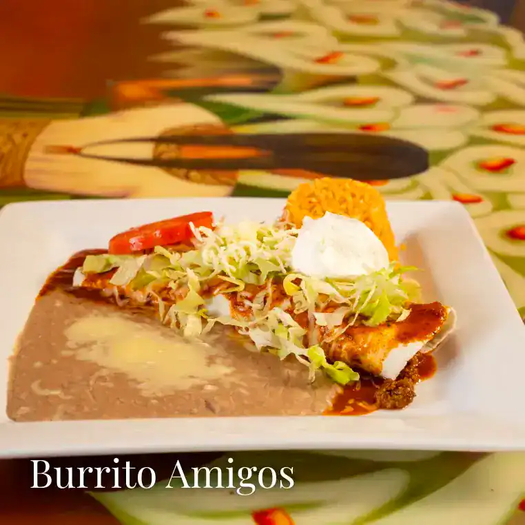Tasty Mexican burrito with lettuce, tomato, cheese, and sauce on a white plate.