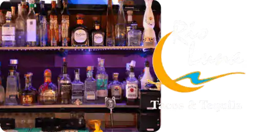 Wide selection of premium spirits and liquors on bar shelves.