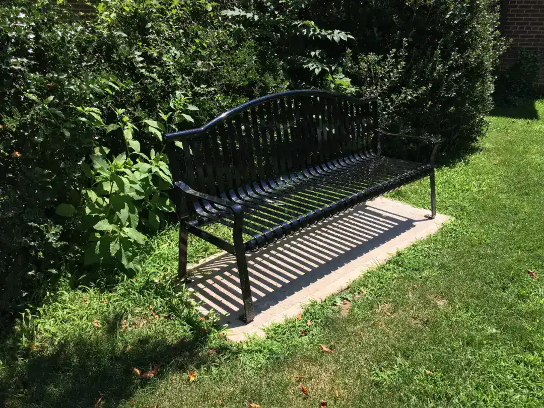 Black metal park bench on concrete pad surrounded by greenery.