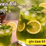 pudina sharbat kaise banaye fresh mint drink with lemon and ice refreshing summer beverage