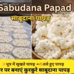 sabudana-papad-recipe-in-hindi-sun-dried-sabudana-papad-vs-fried-sabudana-papad