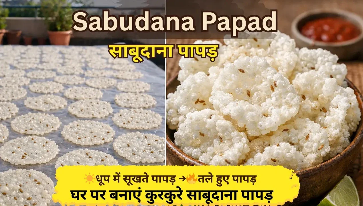 sabudana-papad-recipe-in-hindi-sun-dried-sabudana-papad-vs-fried-sabudana-papad