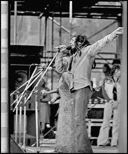 Legendary singer performing live on stage with microphone and expressive gestures.