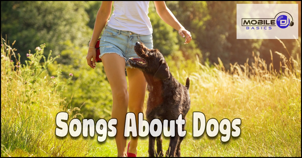 A woman in shorts walks a happy black dog through a grassy field bathed in sunlight, perfectly capturing the joyful spirit celebrated by songs about dogs; text reads “Songs About Dogs” with the Mobile Basics logo featured in the top right corner.