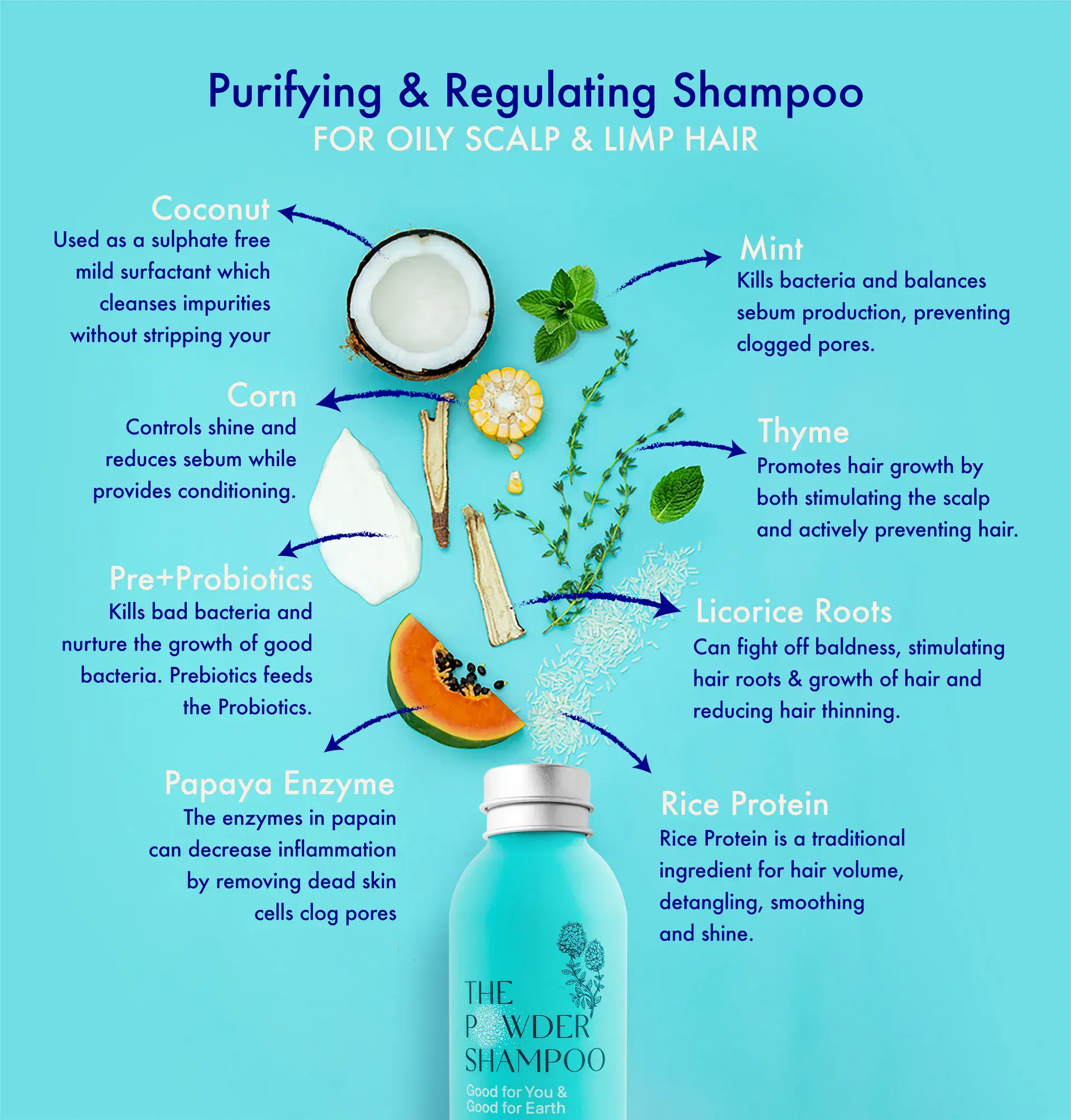 The Powder Shampoo 淨化調節油性洗髮粉 - Image 10
