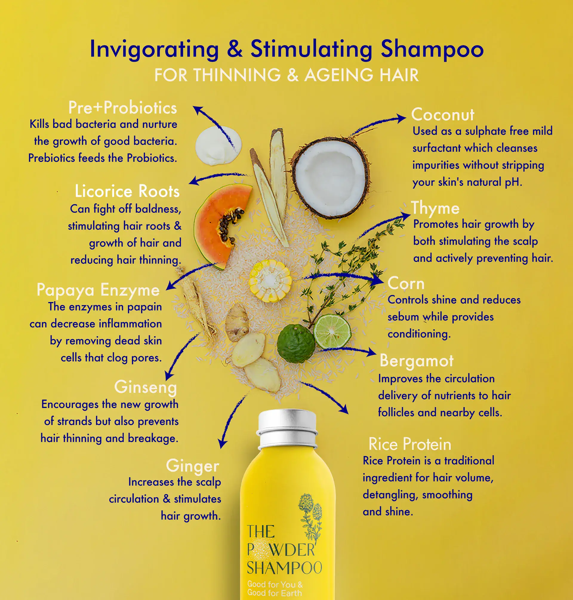 The Powder Shampoo 清爽煥髮防脫洗髮粉 - Image 6