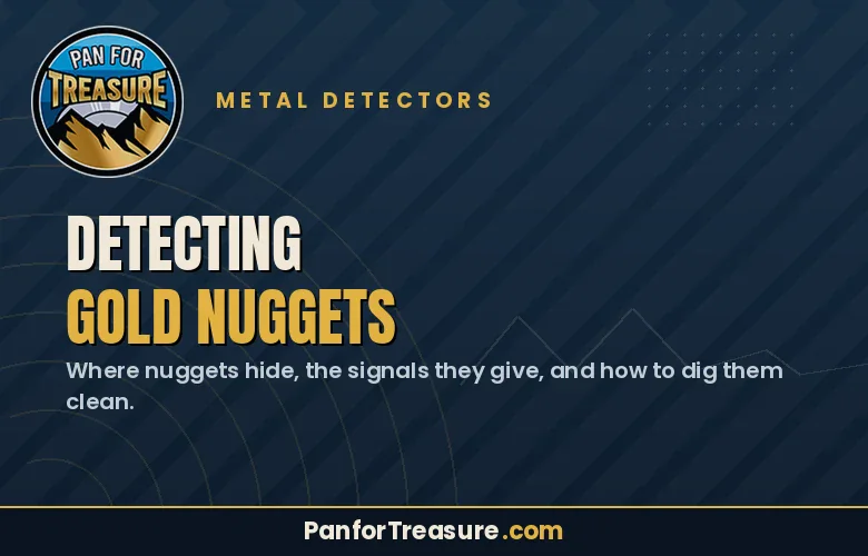 Pan for Treasure metal detectors ad with text: "Detecting Gold Nuggets—discover where nuggets hide, the signals they give, and how to dig them clean." Website: PanforTreasure.com.