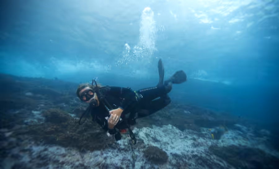 © Yves Lefèvre / Fondation Malpelo et Autres Ecosystèmes Marins.