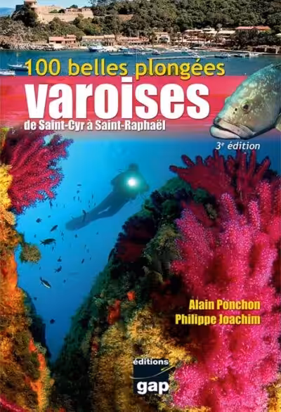 Explorez les merveilles sous-marines varoises avec ce guide de plongée, mettant en lumière la biodiversité exceptionnelle ...