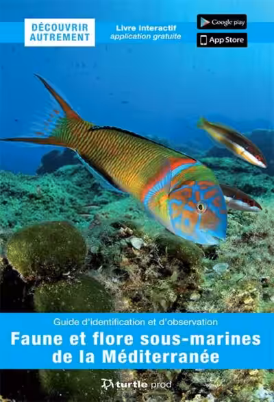 Explorez la biodiversité vibrante de la Méditerranée avec ce guide interactif, idéal pour les passionnés de plongée. #Biod...