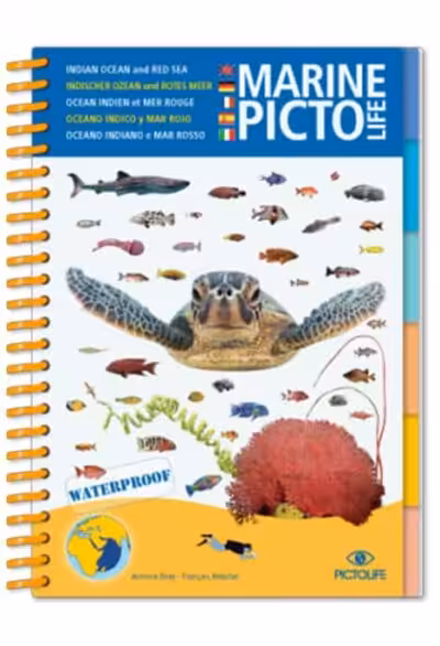 marine-pictolife-ocean-indien-mer-rouge_1 Guide indispensable pour les plongeurs, ce livre étanche explore la biodiversité marine de l'océan Indien et de la mer Rouge.