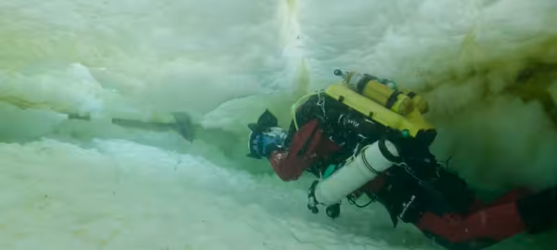 Laurent Ballesta Sous La Banquise 800x360