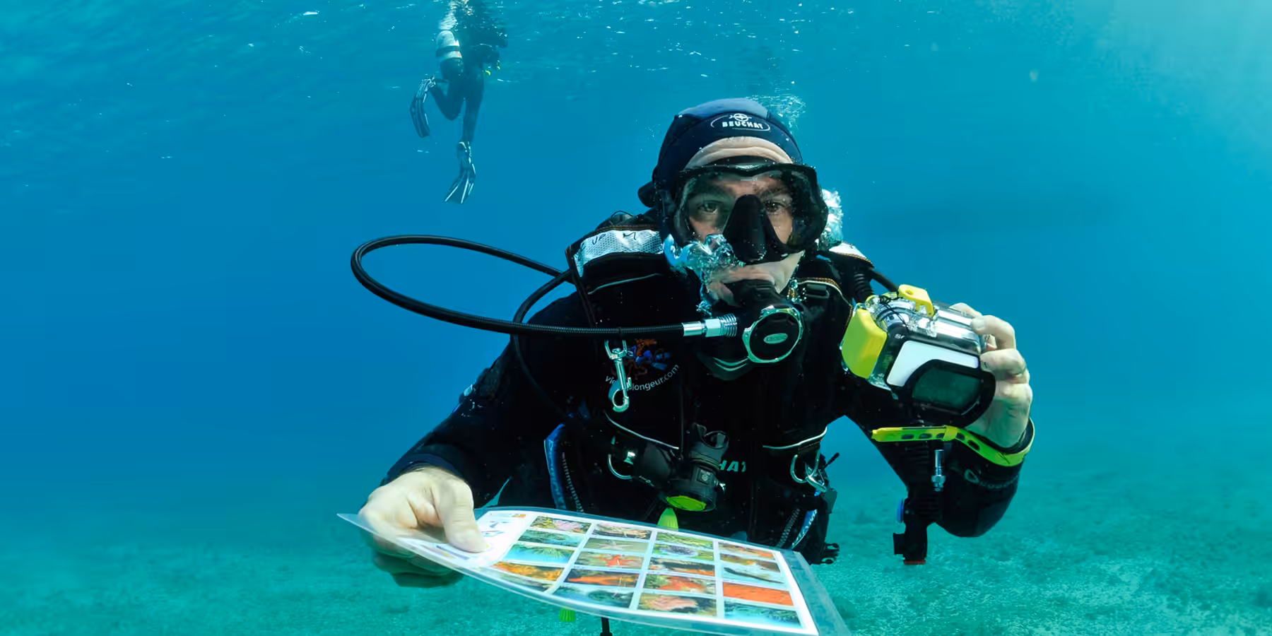 Plongée sous-marine avec un photographe explorant la vie marine et la biodiversité aquatique.