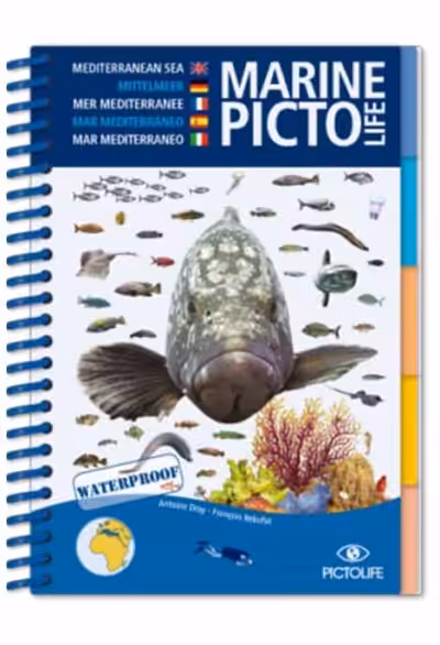 marine-pictolife-mediterranee_1 Guide indispensable pour les plongeurs, ce livre waterproof illustre la biodiversité marine de la Méditerranée. #Explorati...