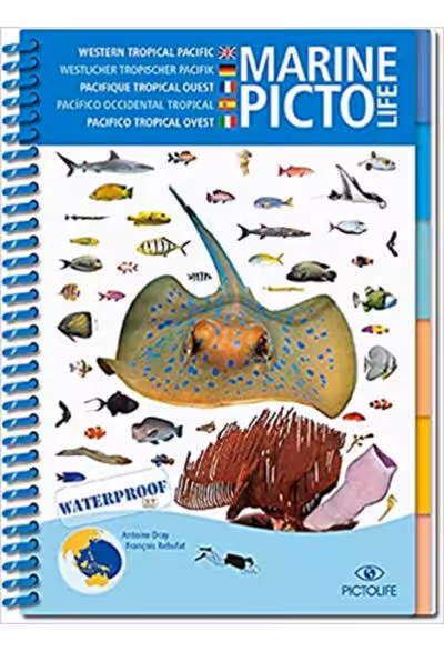 marine pictolife pacifique tropical ouest Guide essentiel pour les plongeurs, ce livre waterproof illustre la riche biodiversité du Pacifique tropical ouest. 🌊