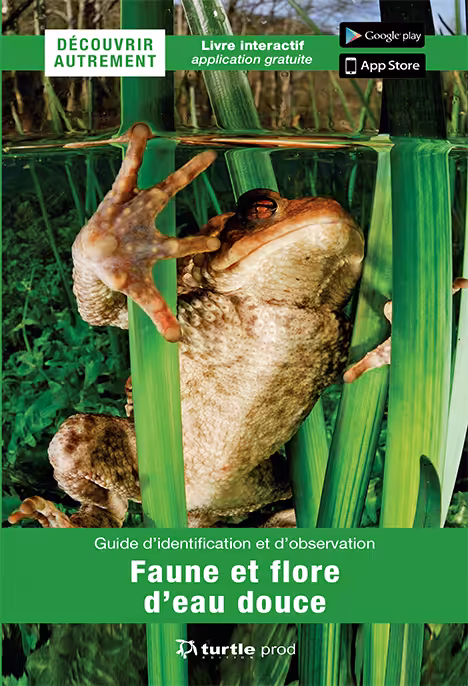 Explorez la biodiversité aquatique avec ce guide interactif sur la faune et la flore d'eau douce, idéal pour les passionné...