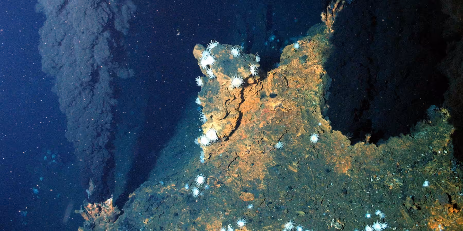 Écosystème marin unique avec formations rocheuses et anémones sous-marines. Découverte fascinante.