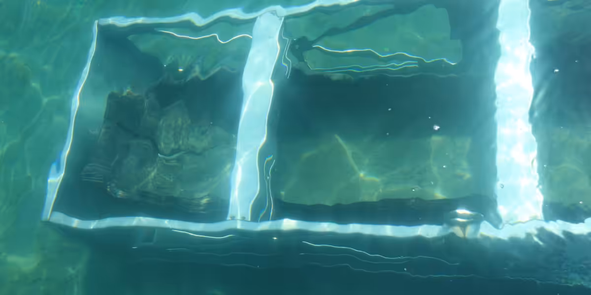 Remontée de la pirogue Carolingienne dans son châssis ©Département Savoie - C. Cudel