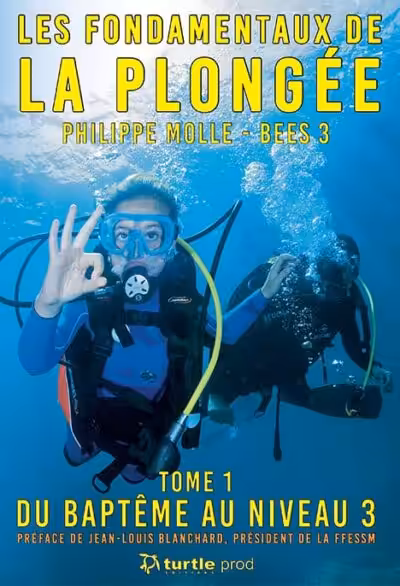 Deux plongeurs explorent sereinement les profondeurs marines, illustrant l'art du baptême de plongée. 🌊 #Plongée