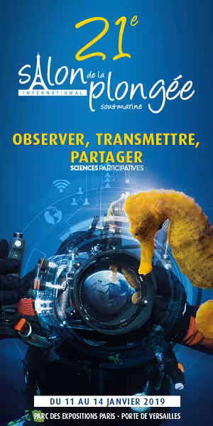 Banniere 300x600 300x600