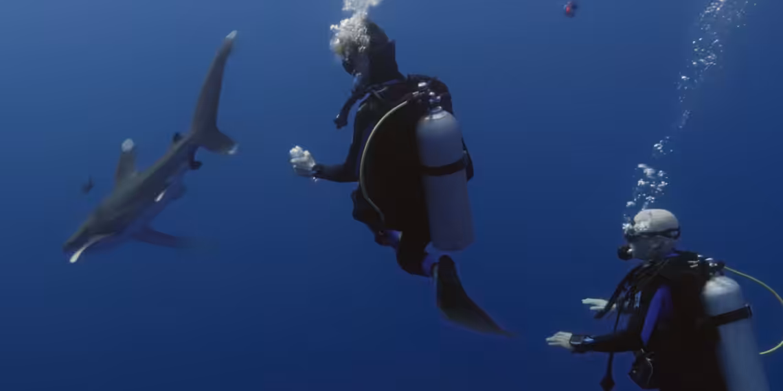 Capture Legacy 1 1140x570