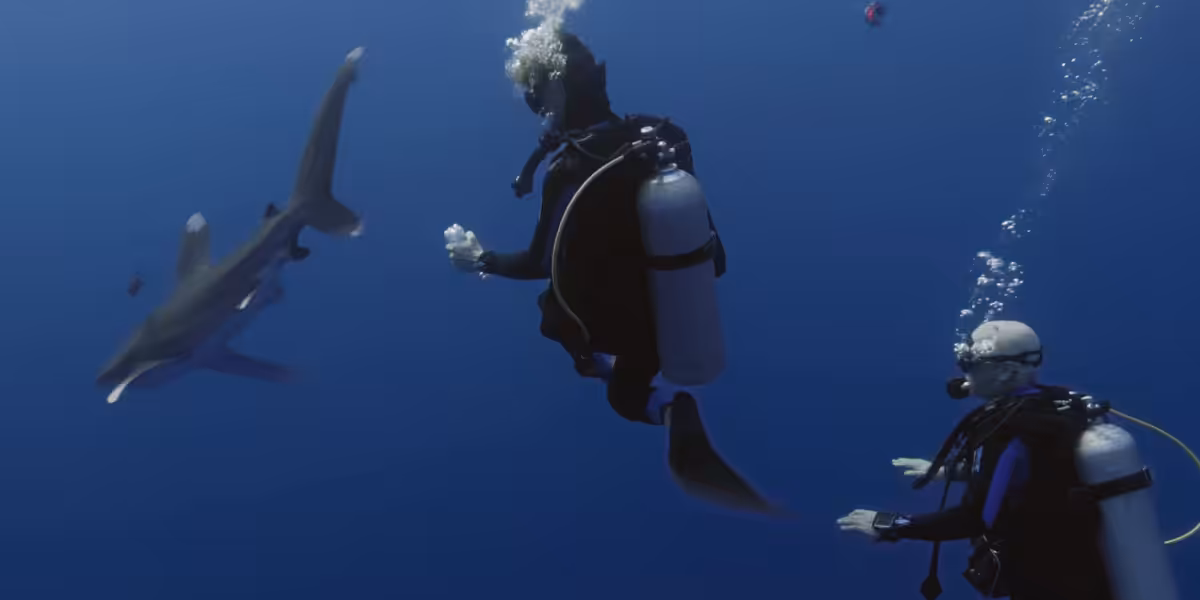 © Legacy, le seigneur du large.