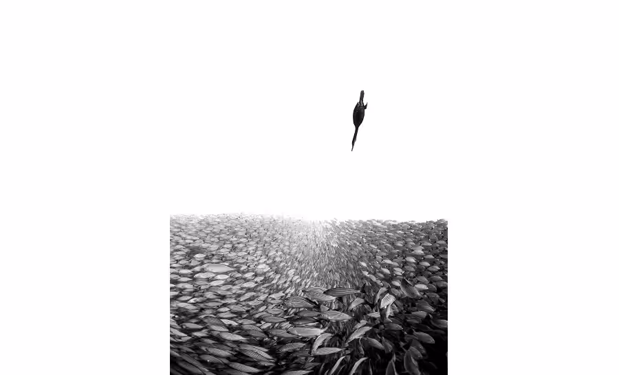 © henley spiers upy2019