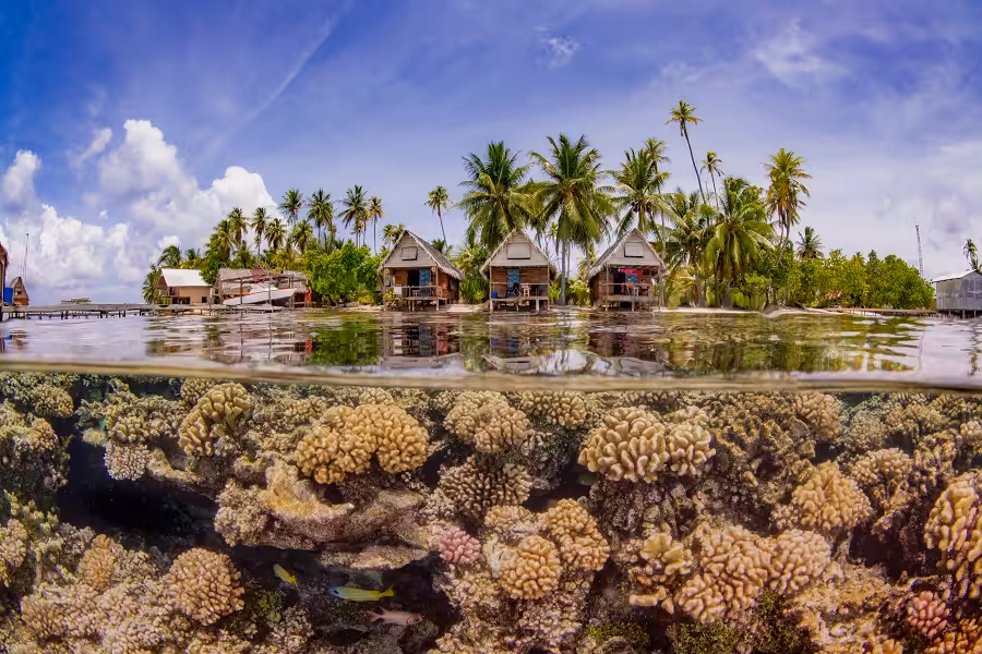 © taeyup kim upy2019