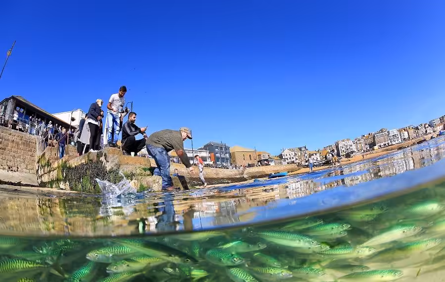 © victoriawalker upy2019 900x570