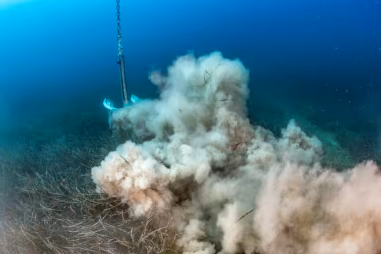 Ancre sous-marine soulevant des sédiments dans un écosystème marin fragile.