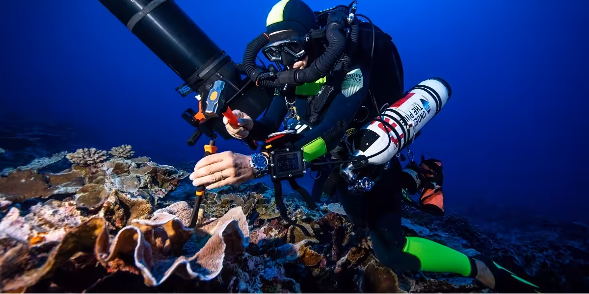 Plongée sous-marine avec un scientifique étudiant les coraux et la biodiversité marine.