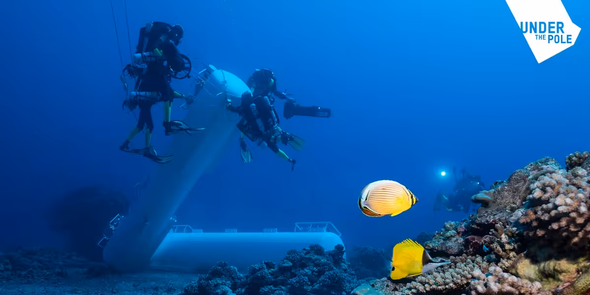 Exploration sous-marine avec plongeurs et poissons colorés dans un environnement corallien.
