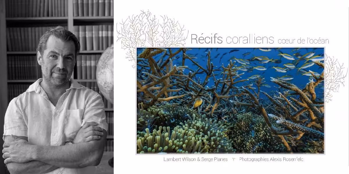 Récifs coralliens vibrants, écosystème marin riche en biodiversité et beauté naturelle.